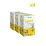 Rcfarma Ligone Vitamin B12 30 Çiğneme Tablet X3 Adet