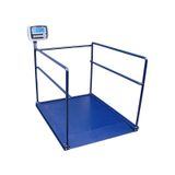 Rcw 300 KG x 100 Gr 90 x 120 Diyaliz Baskülü Tek Rampa