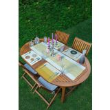 RealHomes 4+1 Pastel Renkli Çizgili Amerikan Servis & Runner Seti