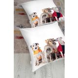 RealHomes 5619 1000gr Rh-HYerM Çeşitli Köpek Desenli Dijital Baskılı Modern Hayvan Yer Minderi