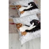 RealHomes 5656 1000gr Rh-HYerM Köpek Ve Kedili Dijital Baskılı Modern Hayvan Yer Minderi