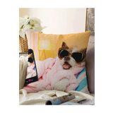 RealHomes Selfie Çekinen Köpek Modern Çift Taraflı Raşel Örme Yastık Kırlent Kılıfı, Sonil-K5680-43x43cm