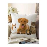RealHomes Tavşan-kedi-köpek Desenli Dijital Baskılı Modern Çift Taraflı Raşel Örme Yastık Kırlent Kılıfı, Sonil-K-5665-55x55cm
