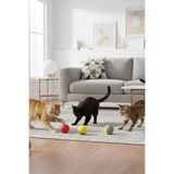 RealWood Kedi Çıngıraklı Oyun Topu - Plastik - Karışık Renk - 6'lı Paket