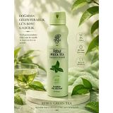 REBUL GREEN TEA 150 ML KADIN DEODORANT