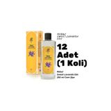 Rebul Lavanda Edc 250ml Cam Şişeli Lavanta Kokulu Kolonya 12 Adet (1 koli)