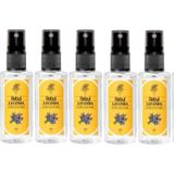 Rebul Lavanta Kolonya 5 x 50 ML