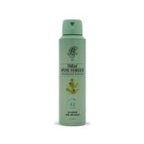 REBUL PINE FOREST 150 ML ERKEK DEODORANT