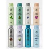 Rebul Pine Forest 150Ml Bay Deodorant