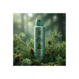 Rebul Pine Forest Erkek Sprey Deodorant 150 ml - 48 Saat Etkili, Alkol, Tam Koruma