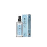 Rebul RYLK-ARKZM1069 Ice 100 Ml Spreyli Kolonya,ice