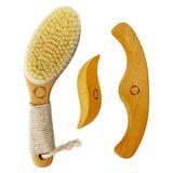 Reccsy Taşınabilir Lenfatik Drenaj Masaj Seti - Konturlu Kaymaz Saplı Vegan Kuru Fırça+Ahşap Terapi Masaj Aletleri. Maderoterapi Kiti, Gua Sha, Selülit Karşıtı, Vücut Şekillendirici, Dolaşımı Teşvik Edin