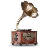 Record Master Rmj-209c Gramofon Pikap - Radyo - Bluetooth - Usb - 33, 45 Devir Plak Çalar
