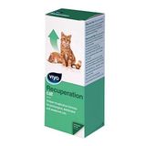 Recuperation Kedi Ek Besin Takviyesi 150 ml