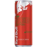 Red Bull The Red Edition Karpuzlu Enerji İçeceği 250 ml x 12