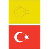 Red Castle KB-RC-056 Türk Bayrağı 5 Adet Büyük Boy A4 Kum Boyama Kartı Seti
