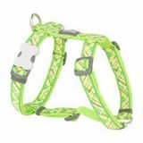 Red Dingo 25 mm Flanno Desenli Lime Köpek Göğüs Tasması