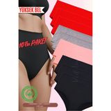 Red İç Giyim Yüksek Bel Büyük Beden Pamuklu Bato Kadın Külot 10'lu Paket (Battal Boy) - Renkli-3876 - 4XL