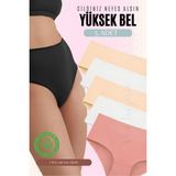 Red İç Giyim Yüksek Bel Büyük Beden Pamuklu Bato Kadın Külot 5'li Paket (Battal Boy) - Renkli-3876 - 6XL