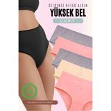 Red İç Giyim Yüksek Bel Büyük Beden Pamuklu Bato Kadın Külot 5'li Paket (Battal Boy) - Renkli-4205