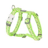 Reddingo 20 mm Flanno Desenli Köpek Göğüs Tasması