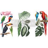 Redesign with Prima - Tropikal Kuşlar - Küçük Transferler 6"x12" 3 Yaprak Mobilya için Transferlere Sürtünme Transferlere Vintage Ovma El Sanatları için Çıkartmalar Klasik İlkbahar Yaz Sonbahar