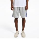 Reebok Atr Hoopwear Erkek Gri Şort