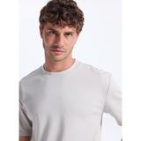 Reebok Bej Erkek Regular Fit T-Shirt LC 1012 GARMEN ACT TEE
