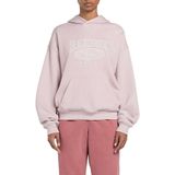 Reebok Big Logo Classic Hoodie Lila Kadın Kapüşonlu Sweatshirt