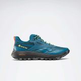 Reebok Dmx Trail Gtx Mavi Unisex Yürüyüş Ayakkabısı 100200883