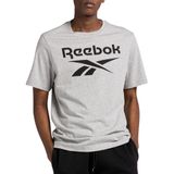 Reebok erkek Identity Big Logo Tişört, Mgreyh, L
