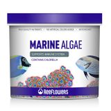 Reeflowers 1 lt Marine Algae Tuzlu Su Balık Yemi