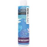 Reeflowers 250 ml Remalgae Yosun Giderici Sıvı Çözelti