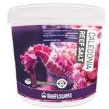 ReeFlowers Caledonia Reef Salt 22,5 Kg - Deniz Tuz