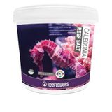 Reeflowers Caledonia Reef Salt Akvaryum Deniz Tuzu 22.5 KG