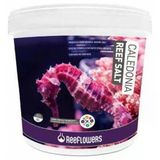 Reeflowers Caledonia Reef Salt Tuz 22.5 Kg Akvaryum Tuzu