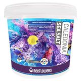 ReeFlowers Caledonia Sea Salt 22Kg