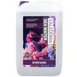 Reeflowers Caledonia Sea Water 20 lt Deniz Suyu