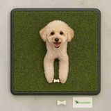 Reenpee Köpek Tuvaleti Çimli Büyük 61×81 Cm