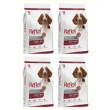 Reflex Beef Biftekli Yetiskin Köpek Mamasi 3 Kg*4 Adet