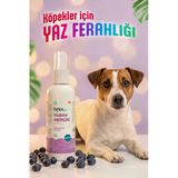 Reflex Care Yaban Mersini Kokulu Köpek Kolonyası 125 Ml