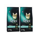 Reflex Plus Sterilised Somonlu 2 kg 2 Adet Kısırlaştırılmış Yetişkin Kedi Maması
