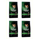 Reflex Plus Tavuklu Mini Irk Yetişkin Köpek Maması 3 Kg*4 Adet