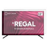 Regal 43R6020U Uyumlu Tv Ekran Koruyucu