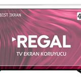 Regal 49R8560U Uyumlu Tv Ekran Koruyucu