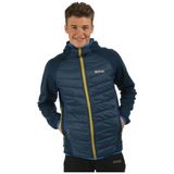 Regatta Andreson II Hybrid Erkek Ceket - Renkli