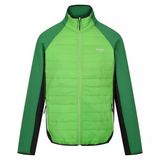 Regatta Clumber IV Hybrid Yeşil Erkek Ceket