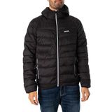Regatta Harrock II Şişme Siyah Erkek Mont