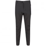 Regatta Highton Gri Erkek Pantolon