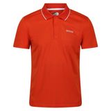 Regatta Maverik V Turuncu Polo Yaka Erkek T-Shirt